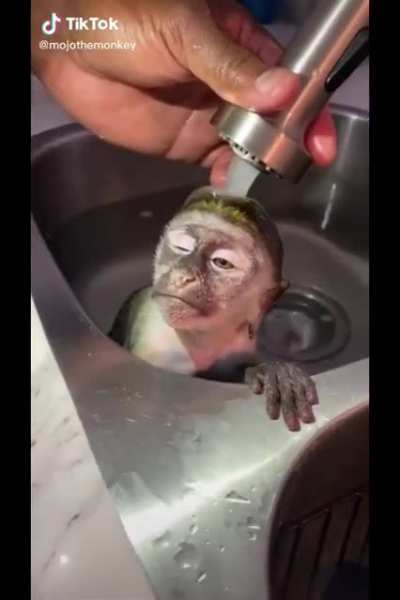 Humen preformin chines e water tortutre on monke brother 😔😟😟😟
