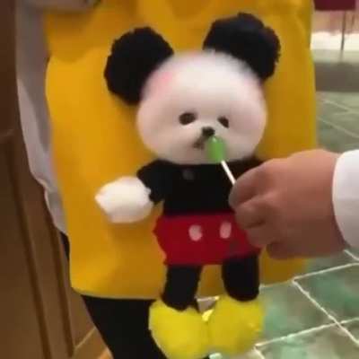 Doggy bag