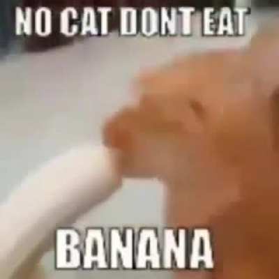 no