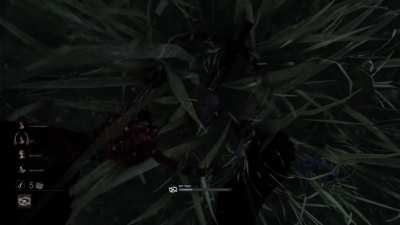 How to play Trapper