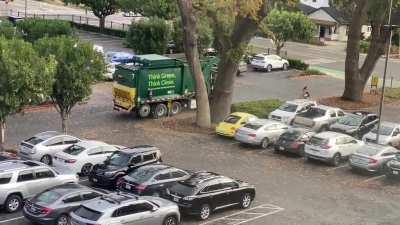 Mad wild turkey chases the garbage truck out of the parking lot!
