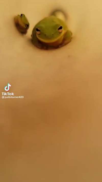 🐸