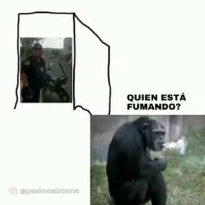 Ta bien webong