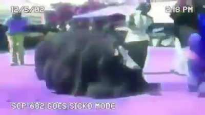 SCP-682, Clasificacion: Keter. Video del ultimo avistamiento del SCP-682. Ubicacion actual del SCP-682: Desconocido. Redaccion: Dr. Travis.