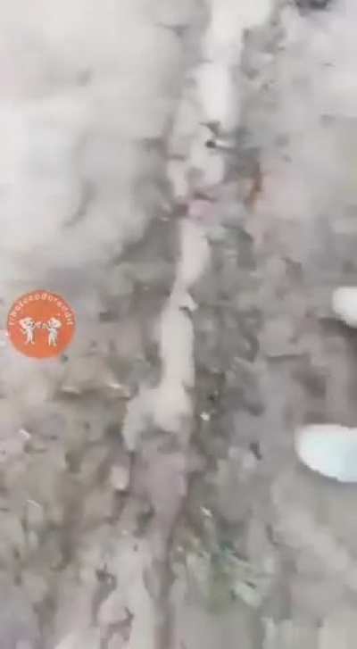 Pq os homens vivem menos?
