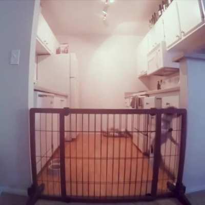 The Great Escape...
