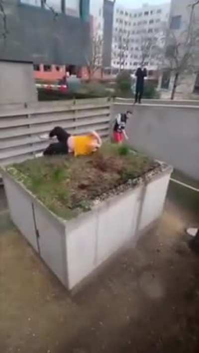 Out with the homies, doing parkour