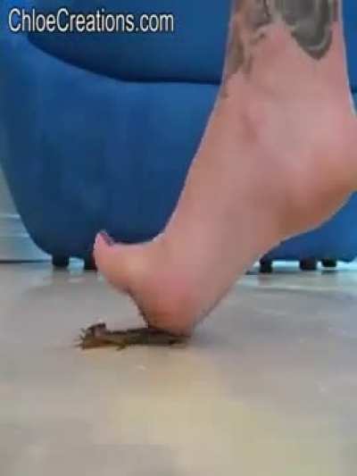 Feer Crawdad
