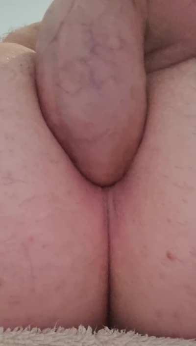 Anal GIF by blues<wbr>wimme<wbr>rcrab<wbr>18