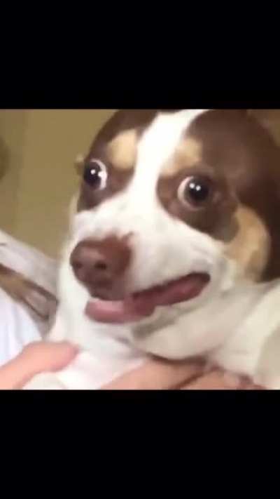 “I think he loves me”