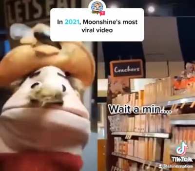 Lmao crackers