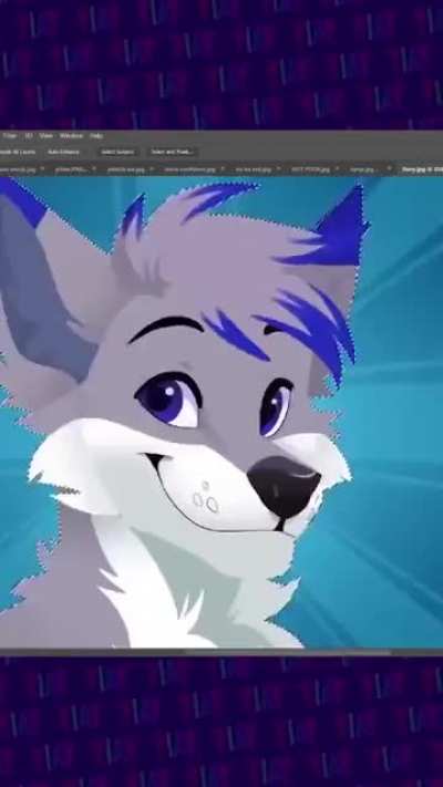 Furries