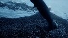 Illusion of running on the surface of water underwater, found on r/interestingasfuck and thought it belonged here
