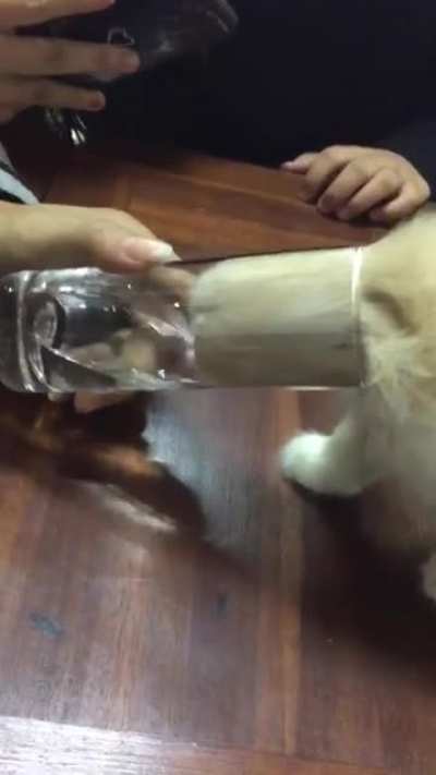 Must Consume Water