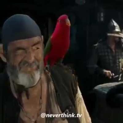 Xdxdxdxd