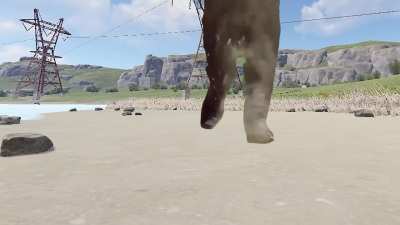 POV roofcampers on the beach