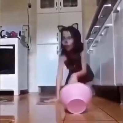 Cats don't even behave like this