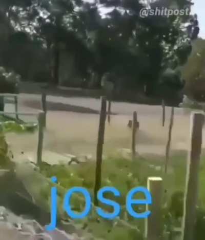 Jose😎😎