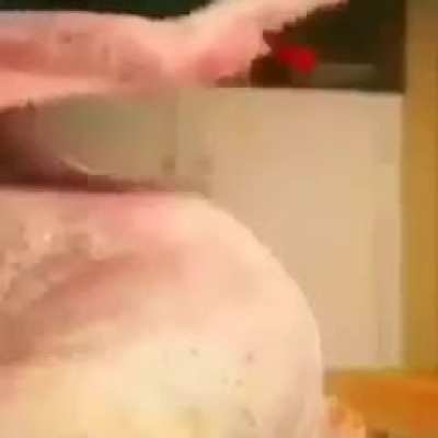 🐔🥵🍆💦