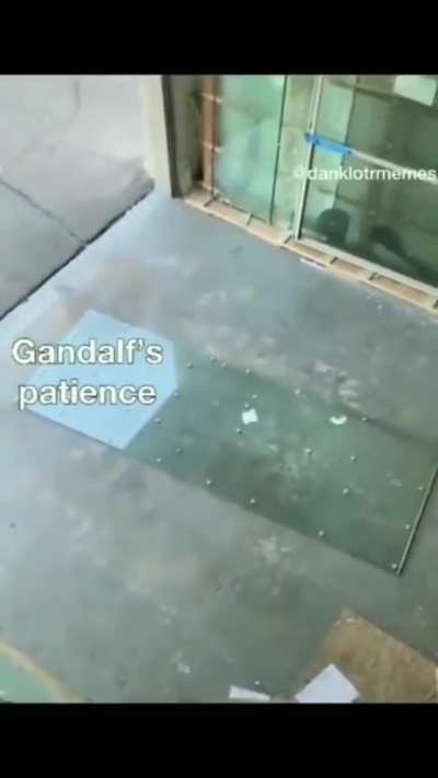 Fool of a Took.