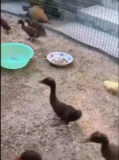 Бу!!!