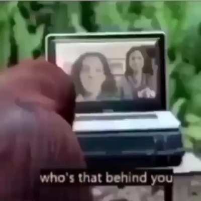 monky