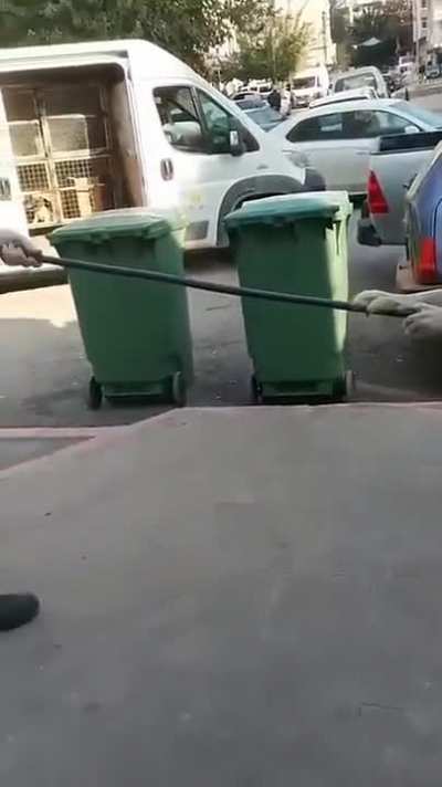 Her ne kadar hayvan severseniz sevin amk bunun aÃ§Ä±<wbr>klama<wbr>sÄ± yok hayvan kÃ¶pek mi afrika aslanÄ± mÄ± belli deÄil