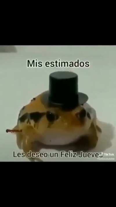 Nada de asuka. El sapito facha les desea feliz jueves