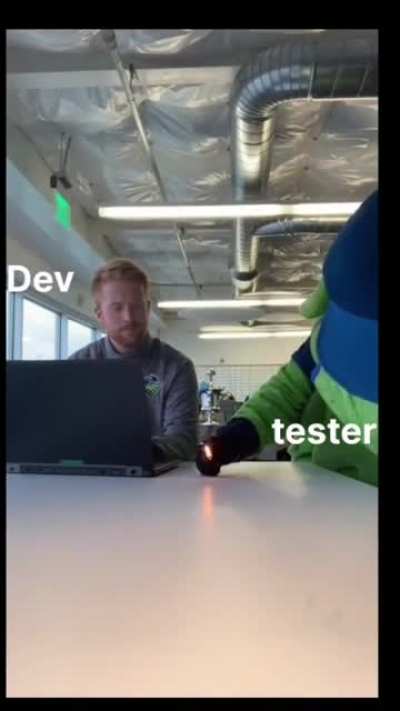 Developer vs Tester