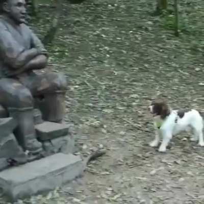 Doggo wants to play