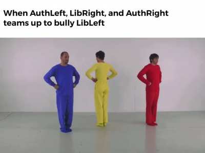 Sorry LibLeft