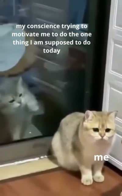 me_irl
