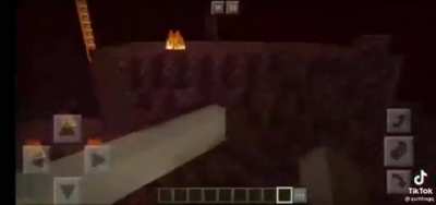 Sus