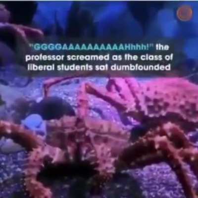 Blursed_experiment