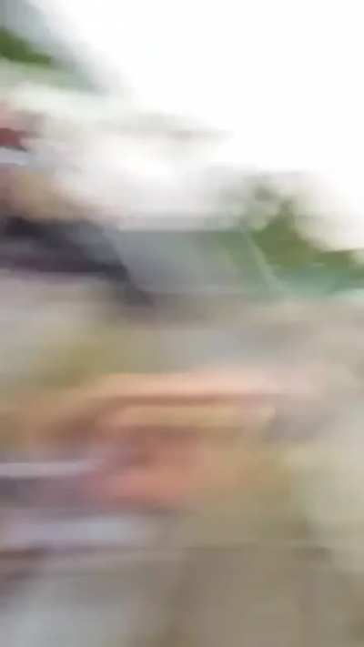 Trailer park drama