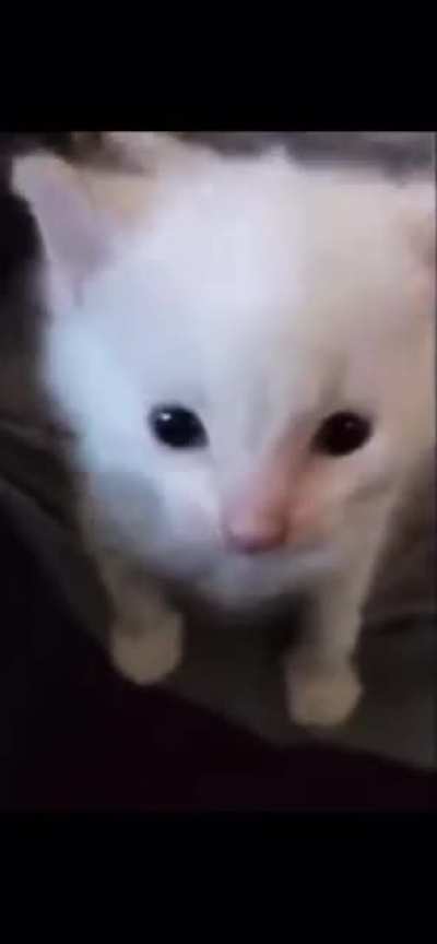 Hi Herbert