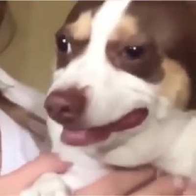 second attempt posting this because it didn't have audio before