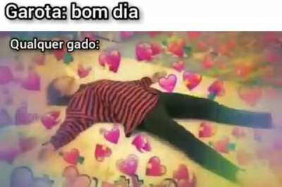 Eu sou um gado