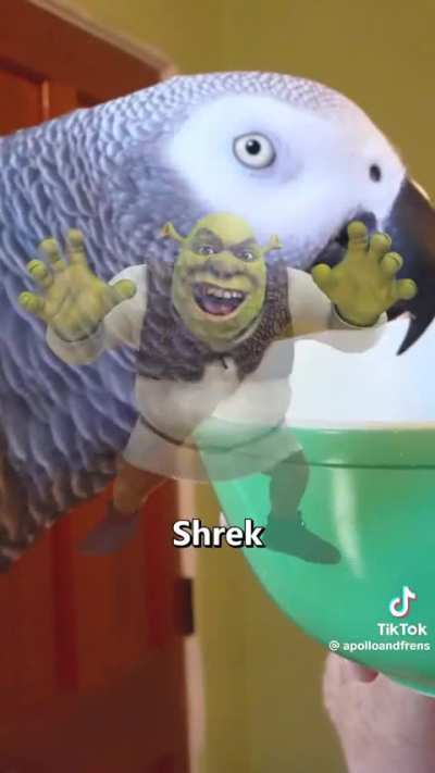 Rule