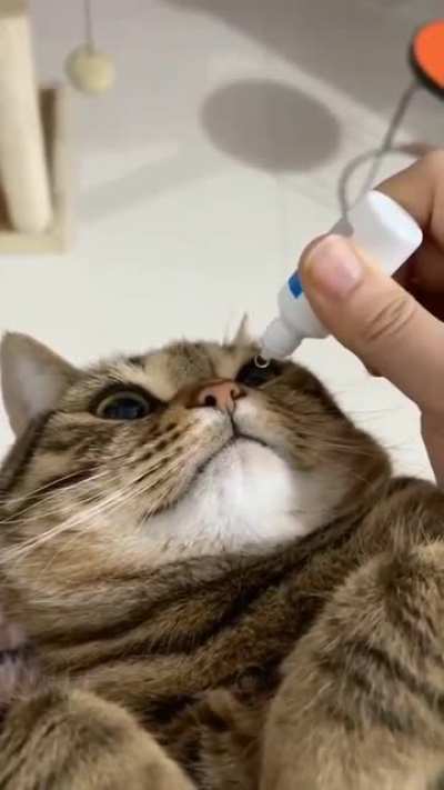 Eye drops