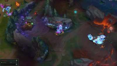 who's the assassins now zed?