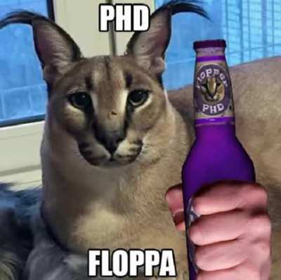 PhD