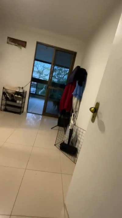 Rainy day at an apartment