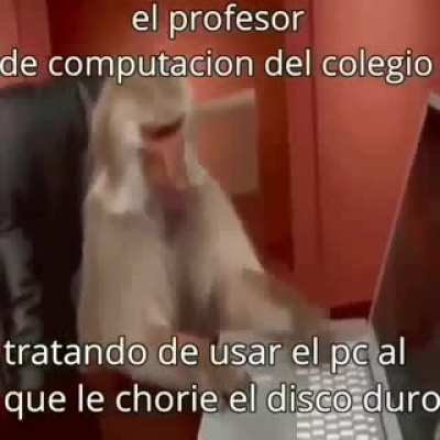 xd