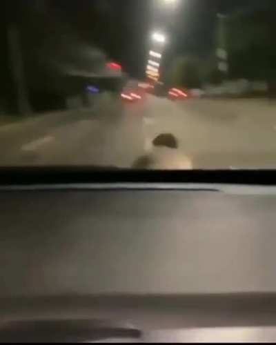 Literally an inch away from being hit by a car