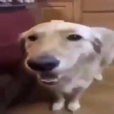 😳