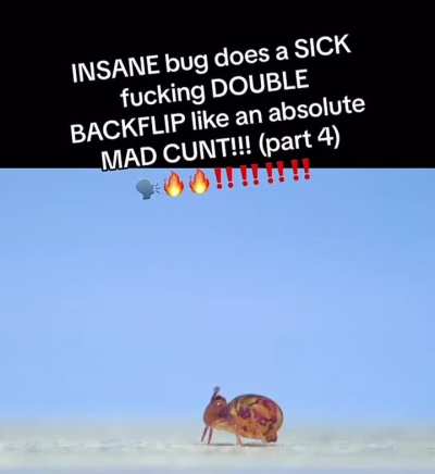 Sick flip