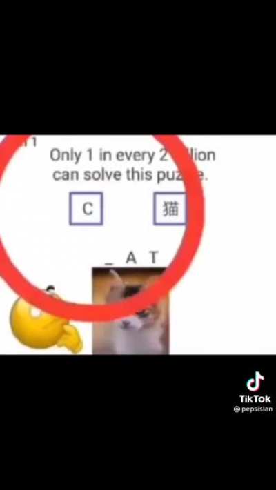 Ö