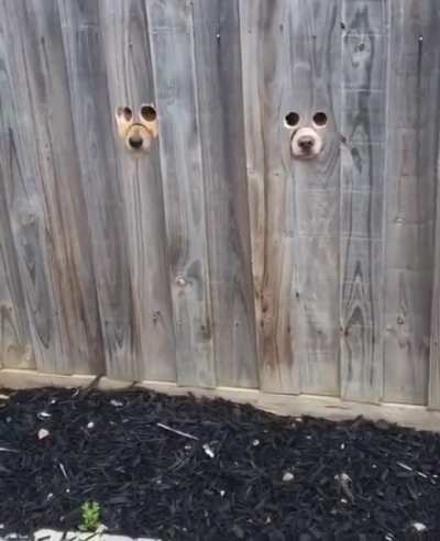 They are watching you...