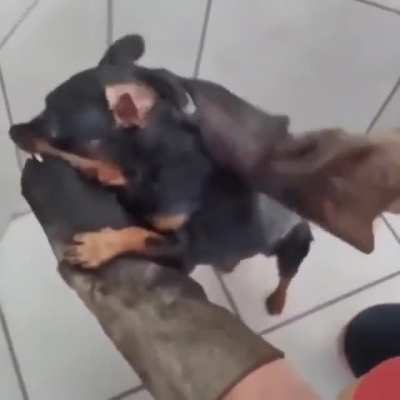 '-'